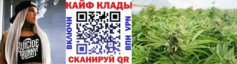 МАРИХУАНА Пионерский