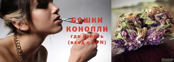 дживик Белокуриха