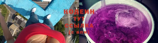 дживик Белокуриха