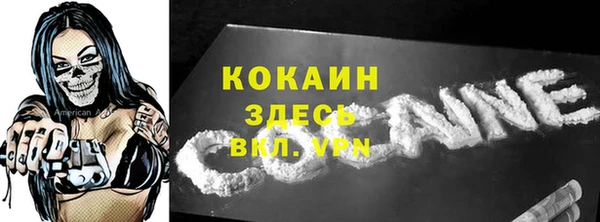 дживик Белокуриха