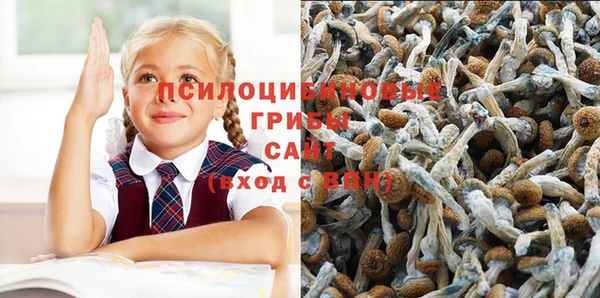 сатива Белоозёрский