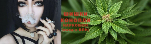 дживик Белокуриха