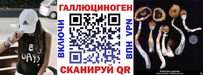 продажа наркотиков  Пионерский  Галлюциногенные грибы Psilocybe 